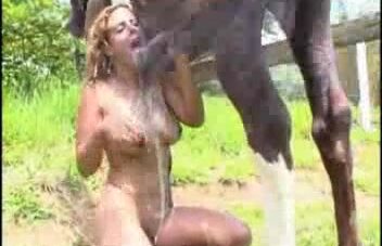 Cavalo gozando na buceta da mulher e na boca